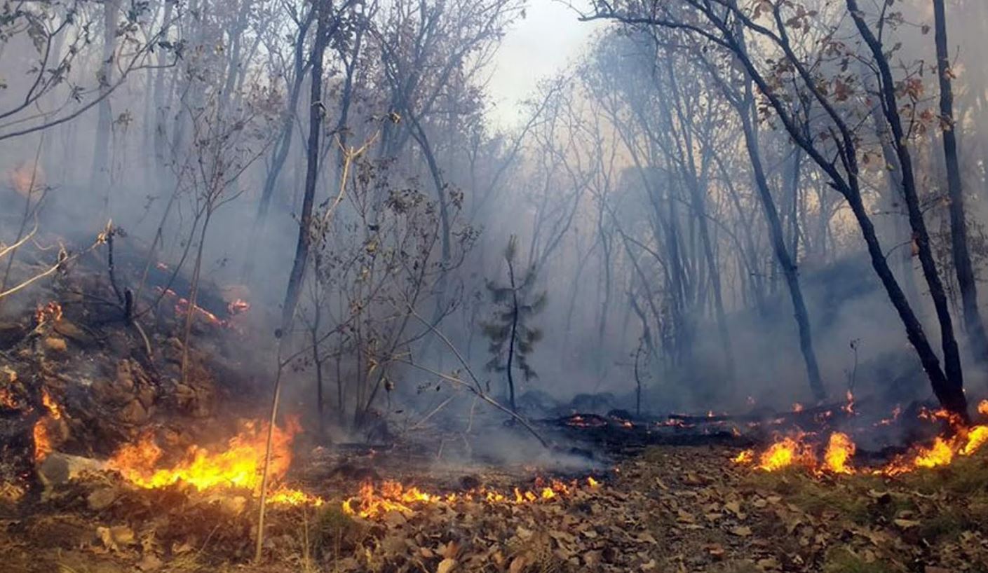 Incendios forestales dejan daños y pérdidas ambientales en Nueva Segovia y Estelí