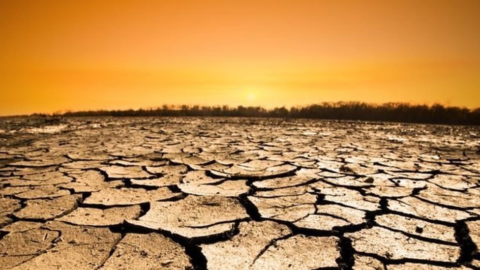 Cambio climático: por qué los próximos 18 meses son cruciales para el planeta y para todos nosotros