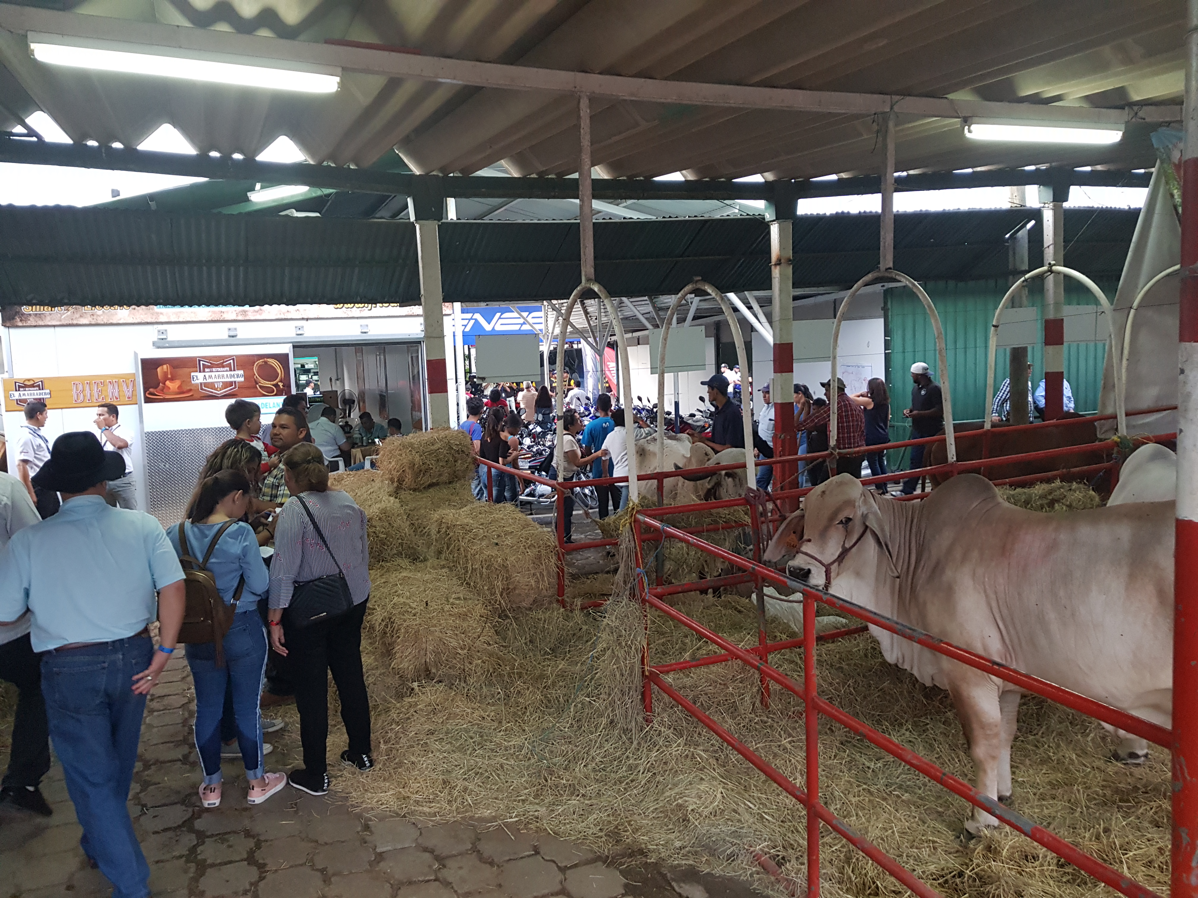 Expica Permanente cierra hoy
