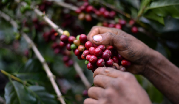 Se abre posibilidad para que más de 30 mil nicaragüenses puedan viajar a Costa Rica