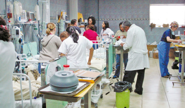 Régimen orteguista congela plazas de trabajo en el Estado hasta 2020