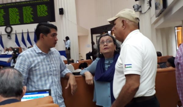 Diputada María Haydée Osuna afirma «no he pedido permiso» al PLC para retirarse de la Comisión Económica