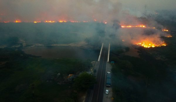Incendios de proporciones nunca vistas devoran 50 mil hectáreas del Pantanal, al sur de Brasil