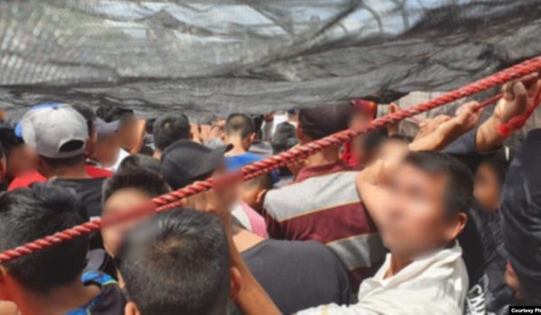 México intercepta dos camiones con más de 200 migrantes