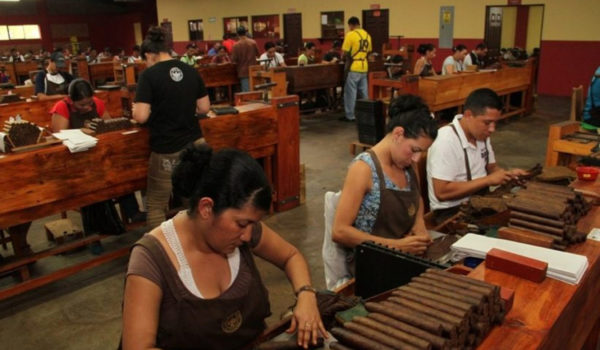 Varias tabacaleras de Estelí, que operan bajo el régimen de zona franca, envían a sus casas a trabajadores