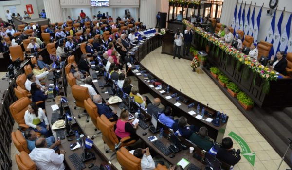Reforma a la Ley Electoral, en la agenda de la Asamblea Nacional para este año