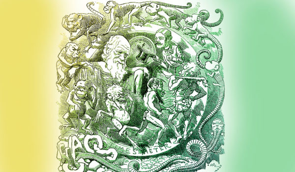 Las fascinantes (y alentadoras) revelaciones sobre la teoría de la evolución expuestas por los matemáticos