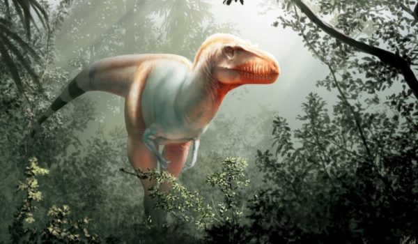 Cómo era el «Segador de la muerte», una nueva especie de dinosaurio que vivió antes que el ‘Tyrannosaurus rex’
