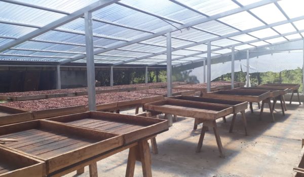 Holanda inyecta recursos a productores de cacao y café en Nicaragua