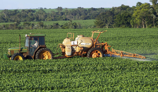 Caen los precios de los alimentos a nivel mundial por pandemia. Estos son los productos en Nicaragua que serán impactados