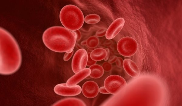 Covid-19: Cómo funciona nuestro sistema inmunológico y cómo combate al coronavirus