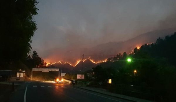 Incendios arrasan con bosques de pinos en la zona de Dipilto