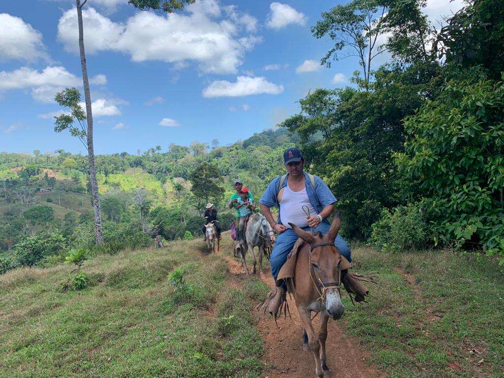 Medardo Mairena, Movimiento Campesino, Coalición Nacional, Alianza Cívica, UNAB, dictadura, Nicaragua