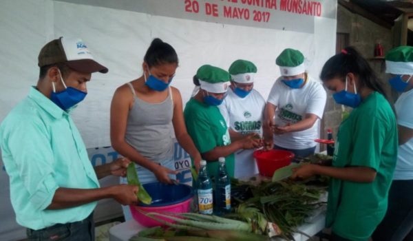 Elaboran alcohol gel a base de sábila para regalar a familias que lo necesiten