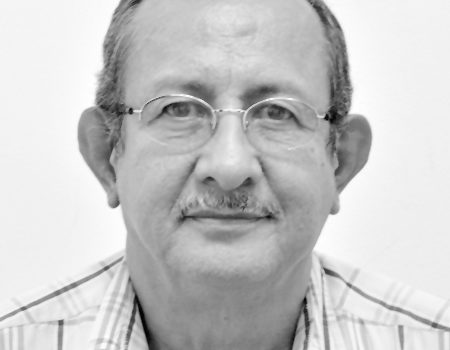 Los periodistas independientes en resistencia pacífica y activa