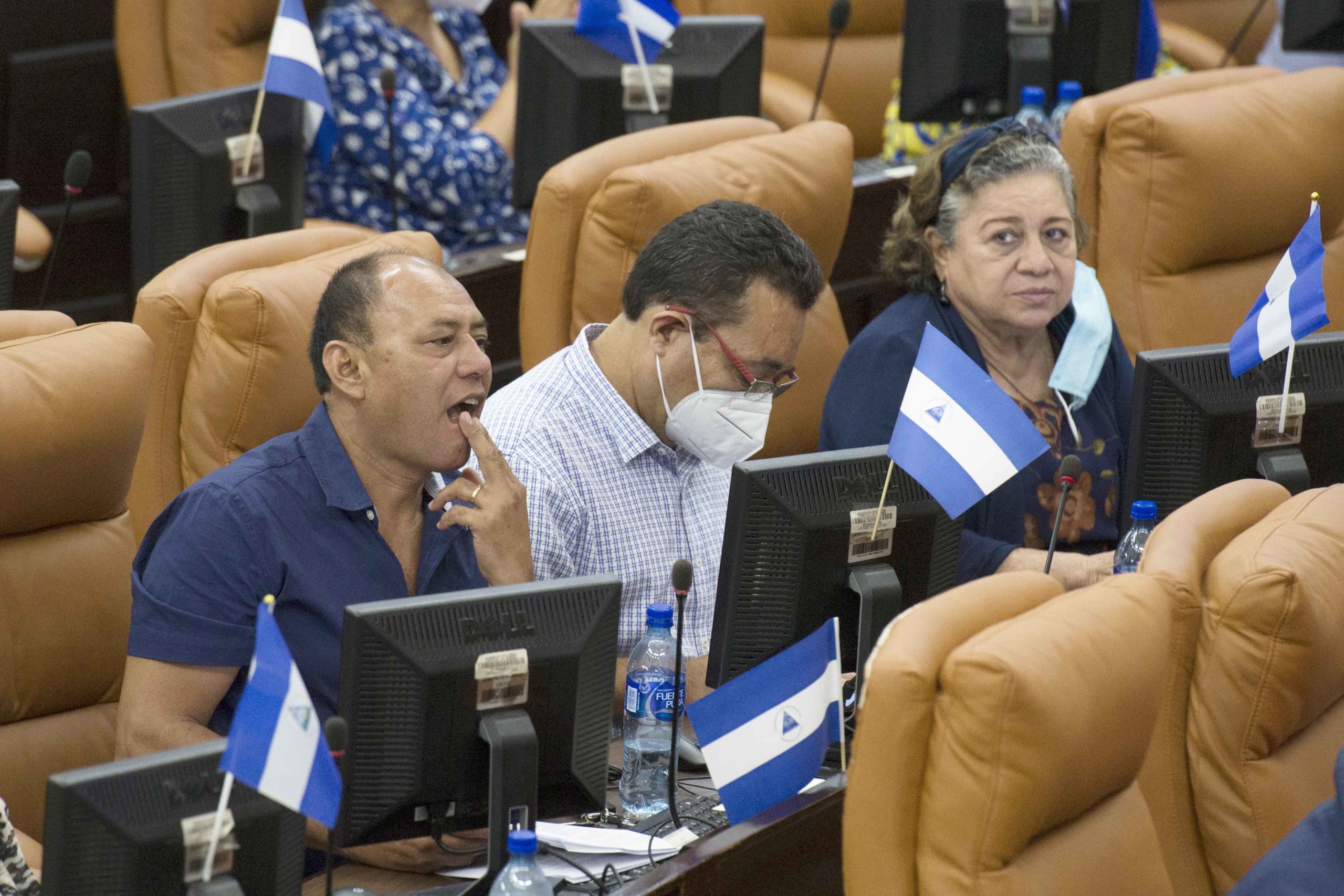 coronarivus. Asamblea Nacional, diputados