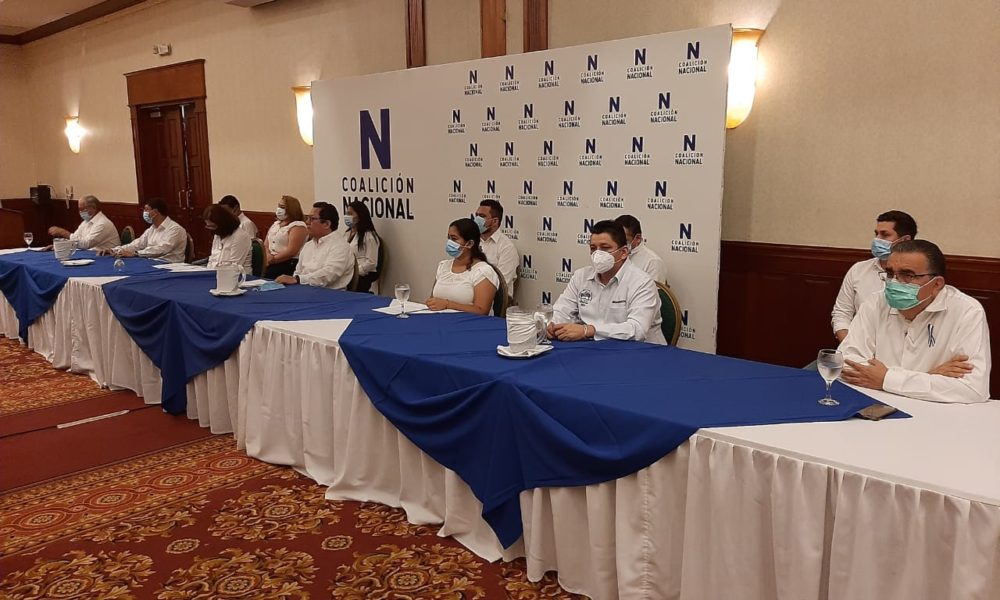 Coalición Nacional, Alianza Cívica, reformas electoral, Unidad Nacioanal Azul y Blanco, OEA