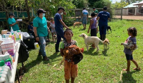 Animales domésticos recibirán alimentos y atención veterinaria en el Caribe Norte