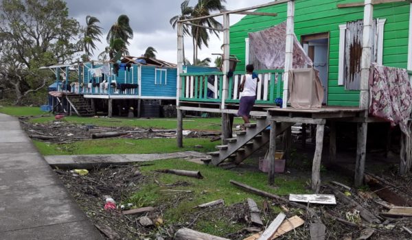 Productores preocupados por daños en cultivos de Matagalpa, Las Segovias y el Caribe