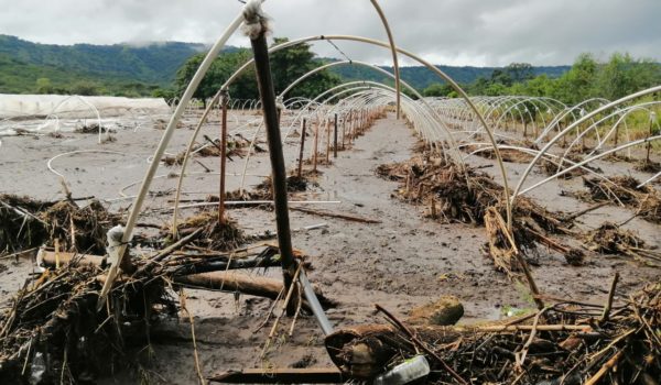 Productor jinotegano: «El río arrasó con todo y ahora tengo que empezar de cero»