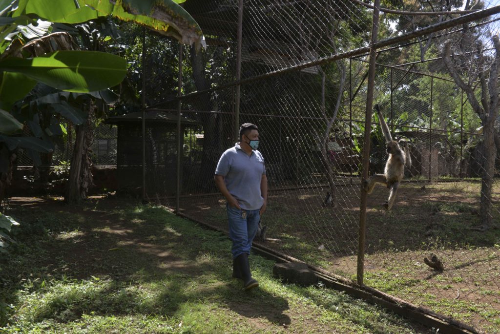 German Mercado, uno de los trabajadores más antiguos del Zoológico Nacional en Nicaragua. LA PRENSA / R. FONSECA