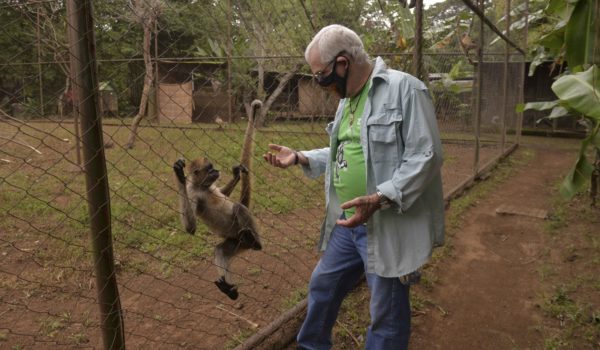 Eduardo Sacasa, veterinario y presidente del zoológico asiste a los animales silvestres rescatados. LA PRENSA / R. FONSECA