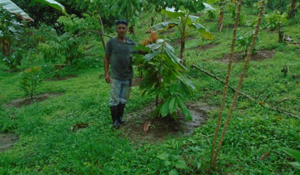 La historia de “Peor es nada”, que consiguió tres sellos orgánicos para producir cacao y café