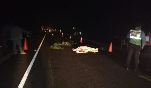 Peatón pierde la vida al ser arrollado por vehículo y conductor implicado se da a la fuga