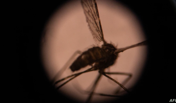 La OMS declara a El Salvador como el primer país de Centroamérica libre de malaria