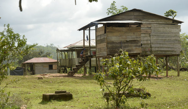 Un muerto y dos heridos deja emboscada de colonos en territorio mayangna, denuncian líderes de la zona