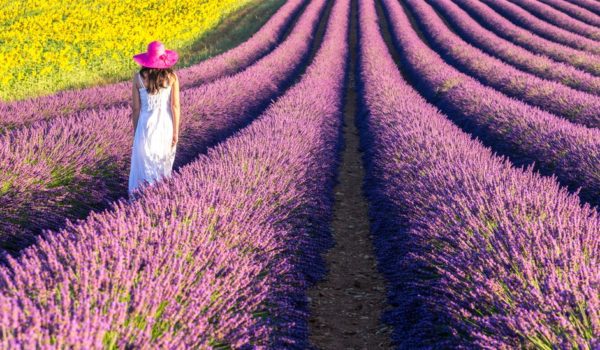 Cómo obtener más beneficios para la salud de tu caminata diaria