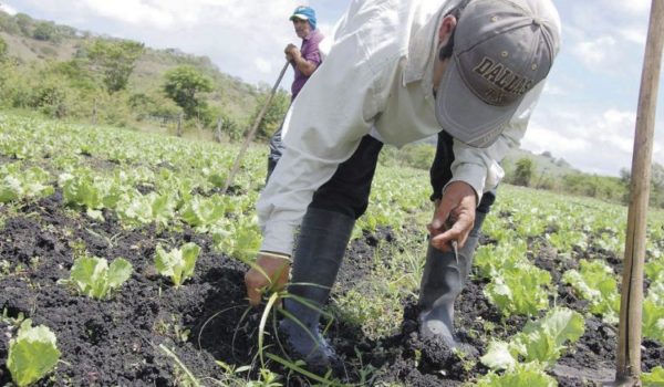 Qué es el anticiclón que está evitando la entrada del invierno y preocupa a los productores agrícolas. Esta es la explicación