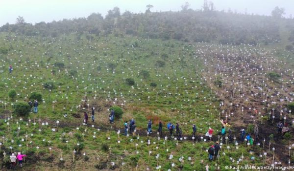 Siembran páramo de Colombia con cenizas de víctimas de covid