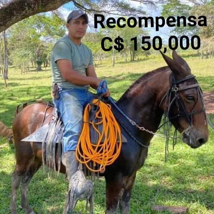 Confusión por captura de mesero en Costa Rica: Creían que era el asesino de Mulukukú - Vimarsana News
