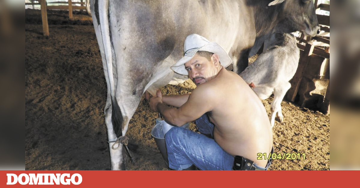 Pedro Mena, el coqueto de La Fonseca - Vimarsana News