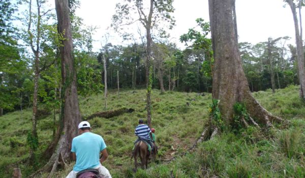 Ataque a comunidad indígena habría dejado al menos 13 muertos