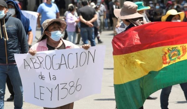 Protestas en Bolivia: qué es la «ley madre» que ha desatado marchas masivas (y por qué algunos las comparan con las que llevaron a la caída de Evo Morales)
