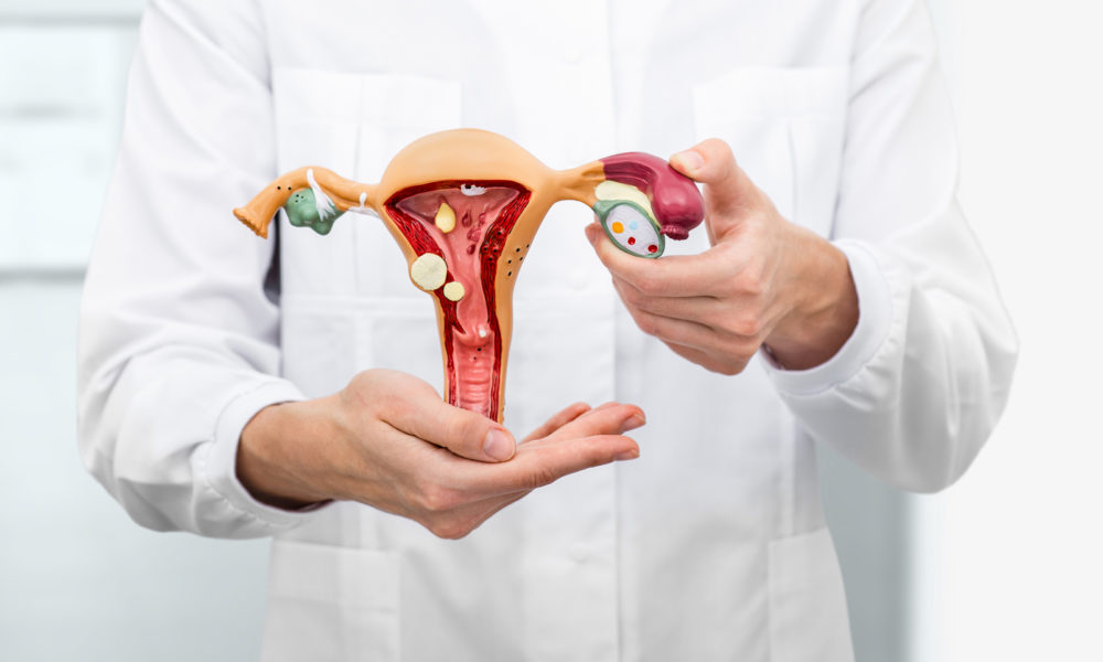 Virus del Papiloma Humano