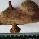 Encuentran la «mayor evidencia hasta el momento» de una crucifixión en Reino Unido de la época roma