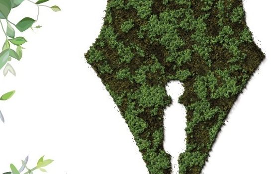 PCIN y Fundación del Río anuncian primer Concurso de Periodismo Ambiental