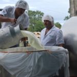 Caen las exportaciones de lácteos nicaragüenses, pese al fuerte aumento en las compras de Costa Rica. Sector explica la razón