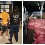 Fuerza Pública de Costa Rica detiene a nicaragüense por contrabando de quequisque