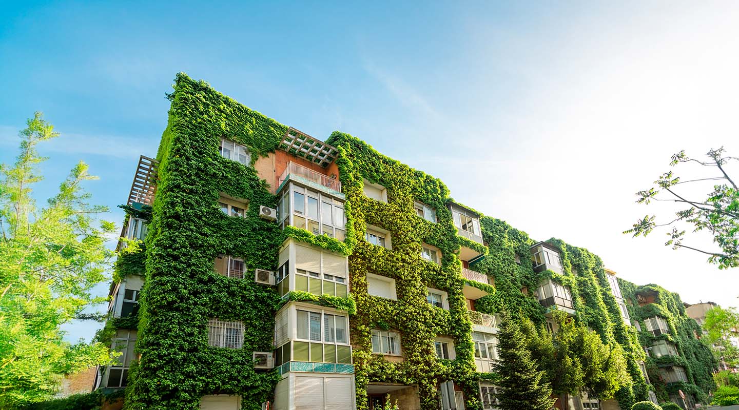 Jardines verticales, naturaleza que crece hacia el cielo
