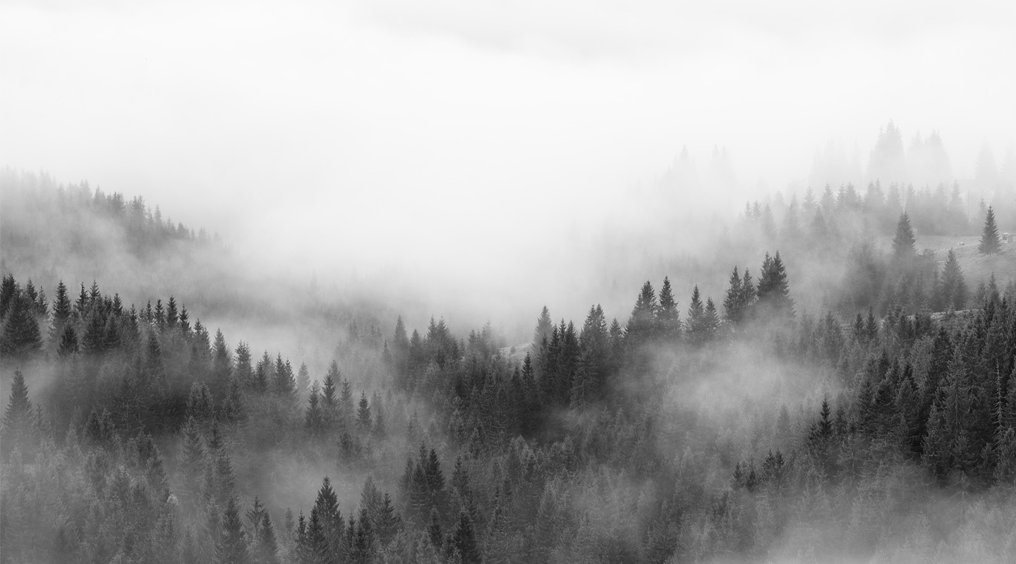 Las imágenes en blanco y negro que marcaron 2025 ya se exhiben en NY