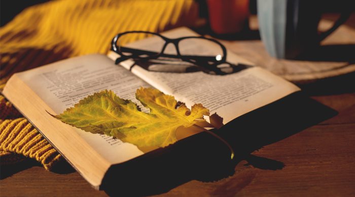 Radiografía de un otoño literario: la memoria frente al colapso moderno