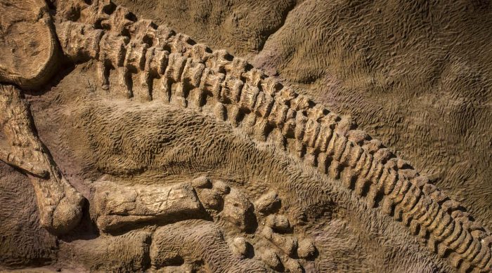El último rincón del planeta también tiene primera clase