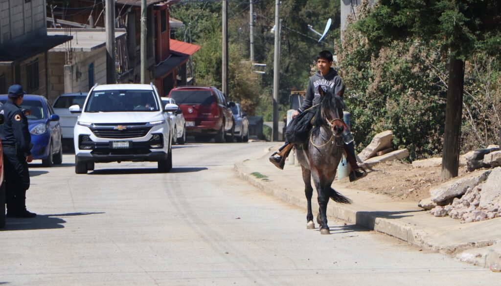 05584627-3f29-4119-a4ed-b79ab09ddb0a