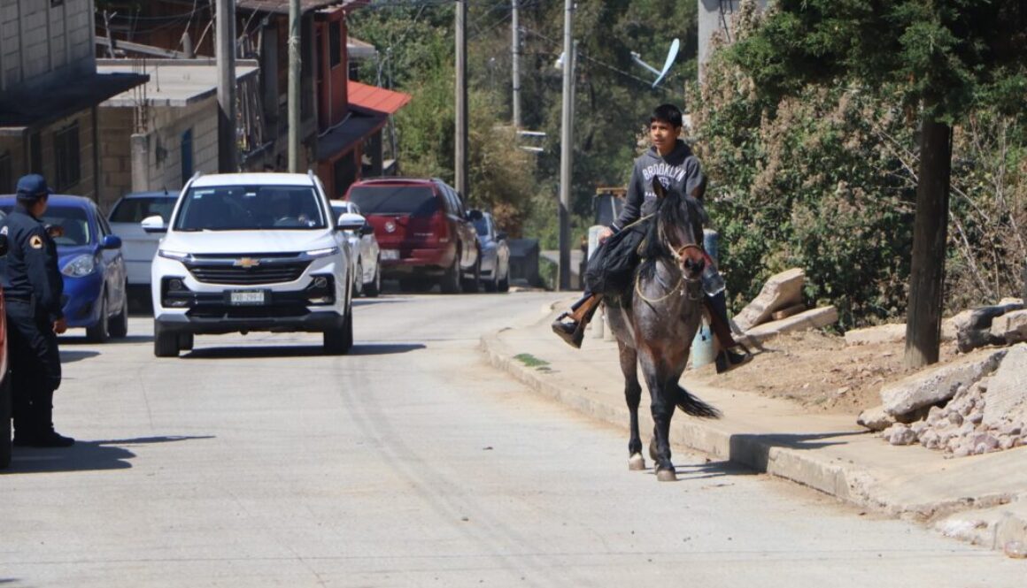 05584627-3f29-4119-a4ed-b79ab09ddb0a