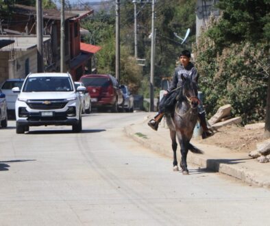 05584627-3f29-4119-a4ed-b79ab09ddb0a