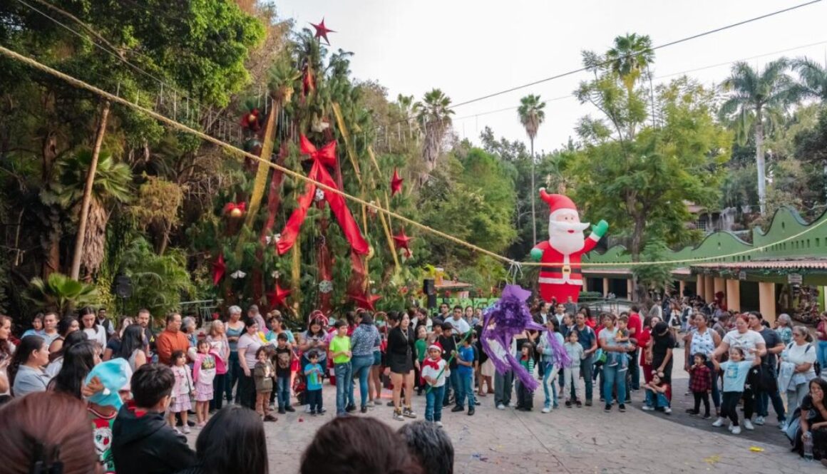 Imagen de WhatsApp 2025-12-08 a las 15.15.06_7c489a90